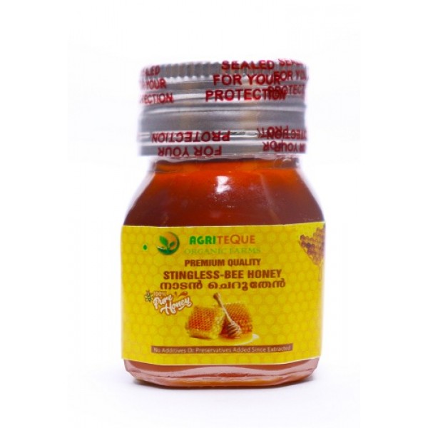 Agriteque Stingless Bee Honey 100gm