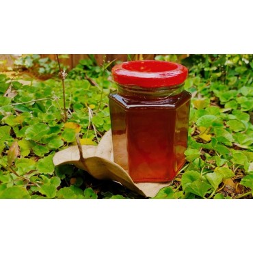 Agriteque Stingless Bee Honey 500gm
