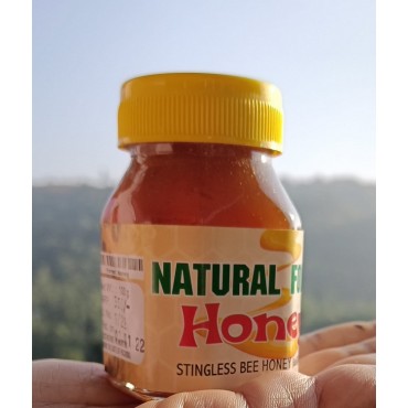 Nakshatra Homemade Stingless Bee Honey 100gm