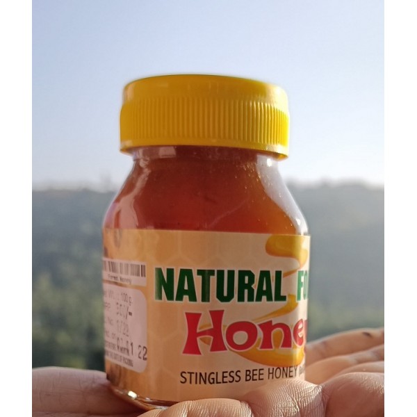Nakshatra Homemade Stingless Bee Honey 1Kg