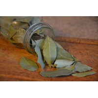 Greeshmam Bay Leaf ...