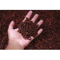 Leela Homemade Clove...