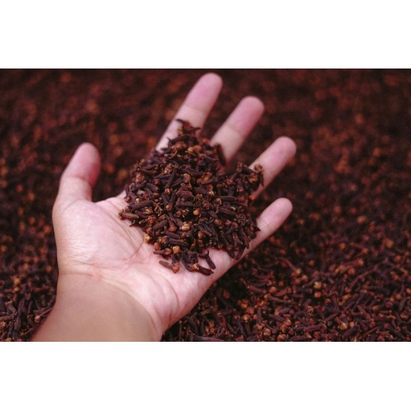 Leela Homemade Clove