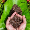 Purvina Organic Black Peppercorns 100gm